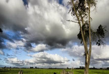 班凯罗50+13+9魔术克步行者 热火送活塞4连败.