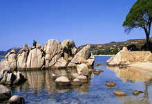 超凡国际:郑钦文澳网第二轮对手出炉 将对阵老将西格蒙德.